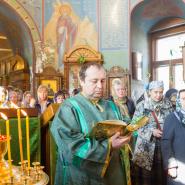 Вход Господень в Иерусалим 2019