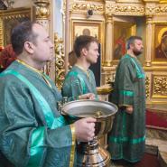 Вход Господень в Иерусалим 2018
