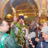 Вход Господень в Иерусалим 2018