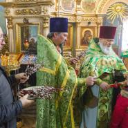 Вход Господень в Иерусалим 2018