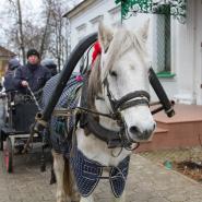 Свт. Николая Мирликийского 2019